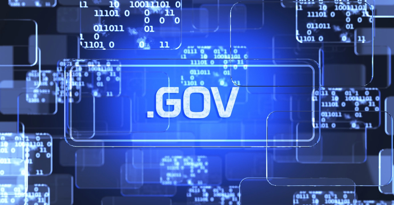 China’s Digital Government, Economy, and Society