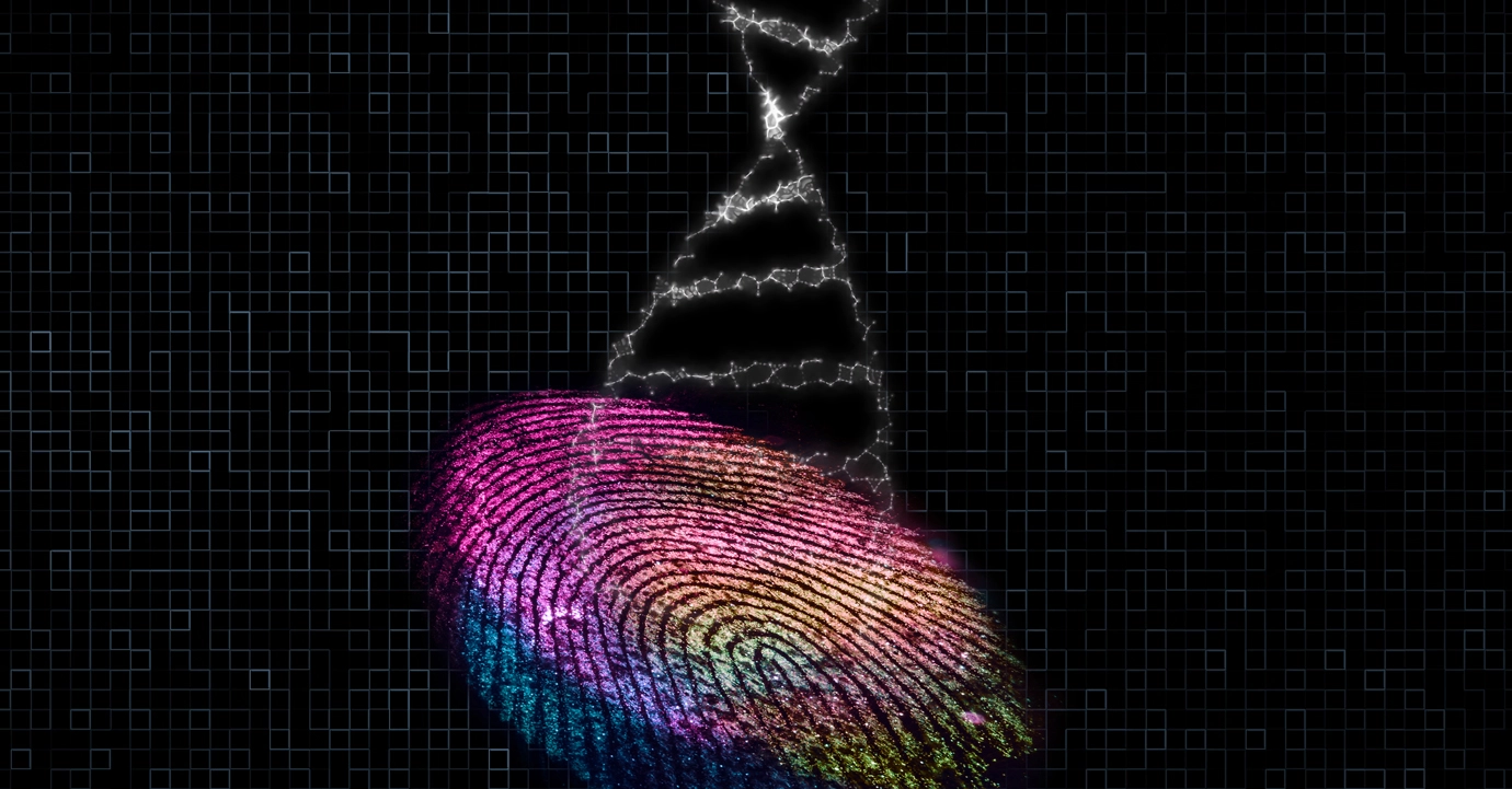 Constitution and Privacy: How China Found a Local Regulation Unconstitutional