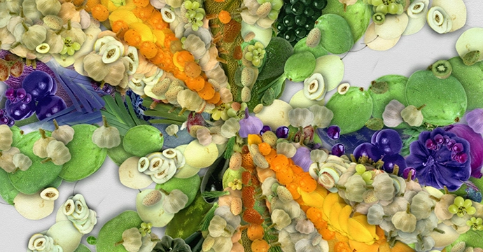 DeepSeek, AI Agriculture, and China’s Zhejiang Province