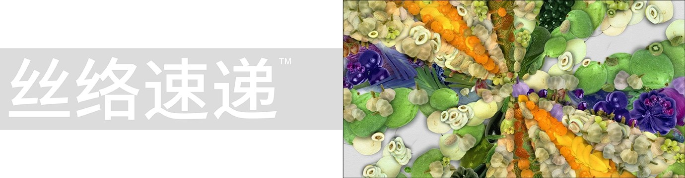 DeepSeek, AI Agriculture, and China’s Zhejiang Province